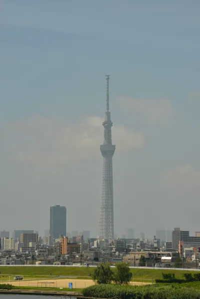 DSC_3825 (Large).JPG